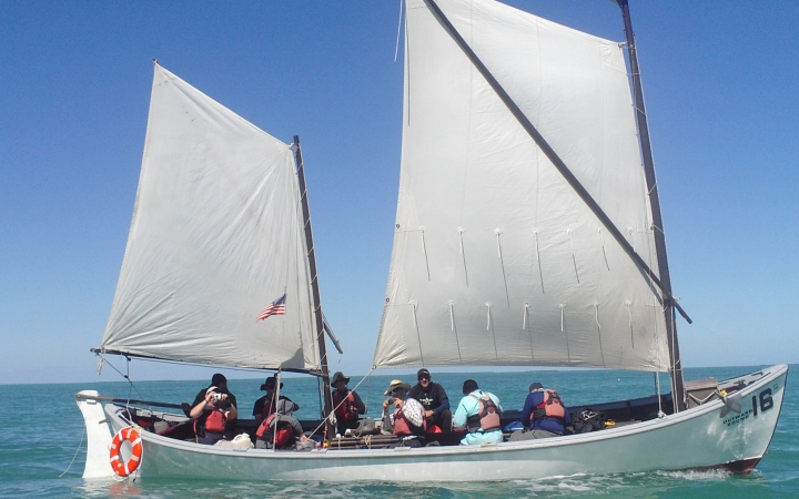 A sailboat containing a small group of people floats in calm water under a blue sky.